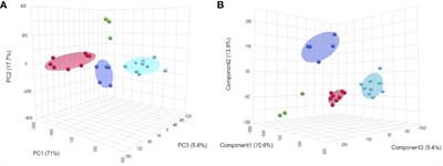 Exploring the mechanisms behind swimming performance limits to ocean warming and acidification in the Atlantic king scallop, Pecten maximus